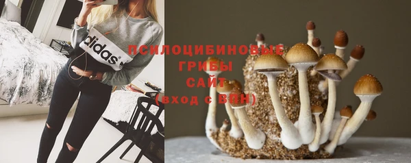 гашиш Кулебаки