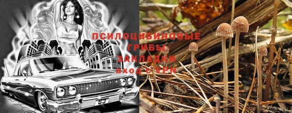 герыч Куйбышев