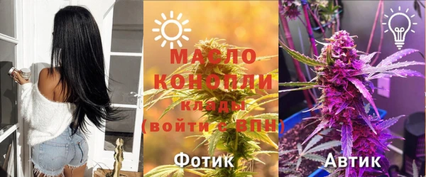 индика Шарыпово
