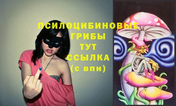 MDMA Кукмор